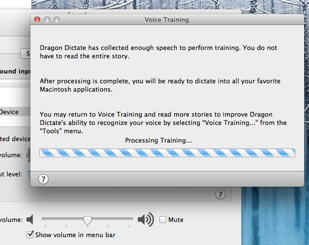 dragon naturally speaking for mac review